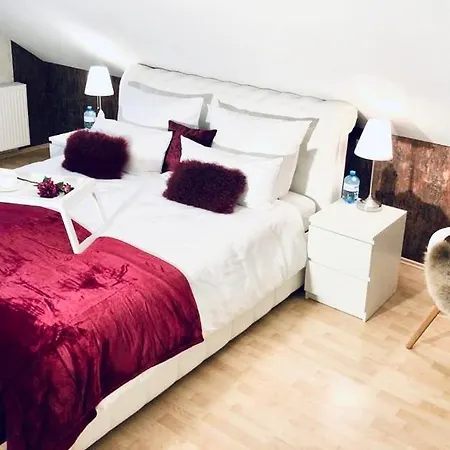 Baden Airpark Family 아파트 *